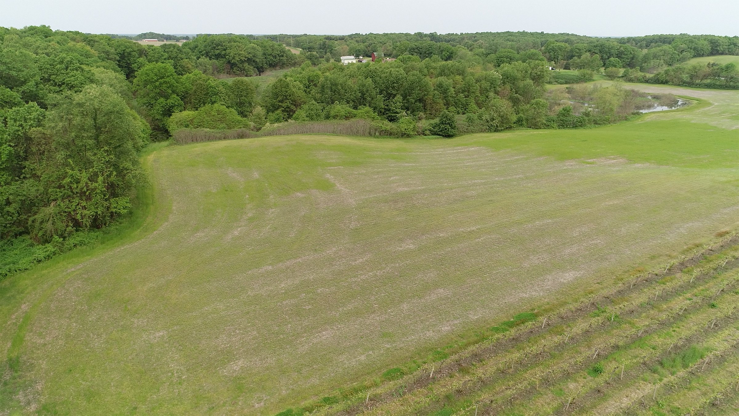 Van Buren County, Michigan farmland - LAND AUCTION - 194+/- ACRES OFFERED IN 5 TRACTS IN VAN BUREN COUNTY, MICHIGAN